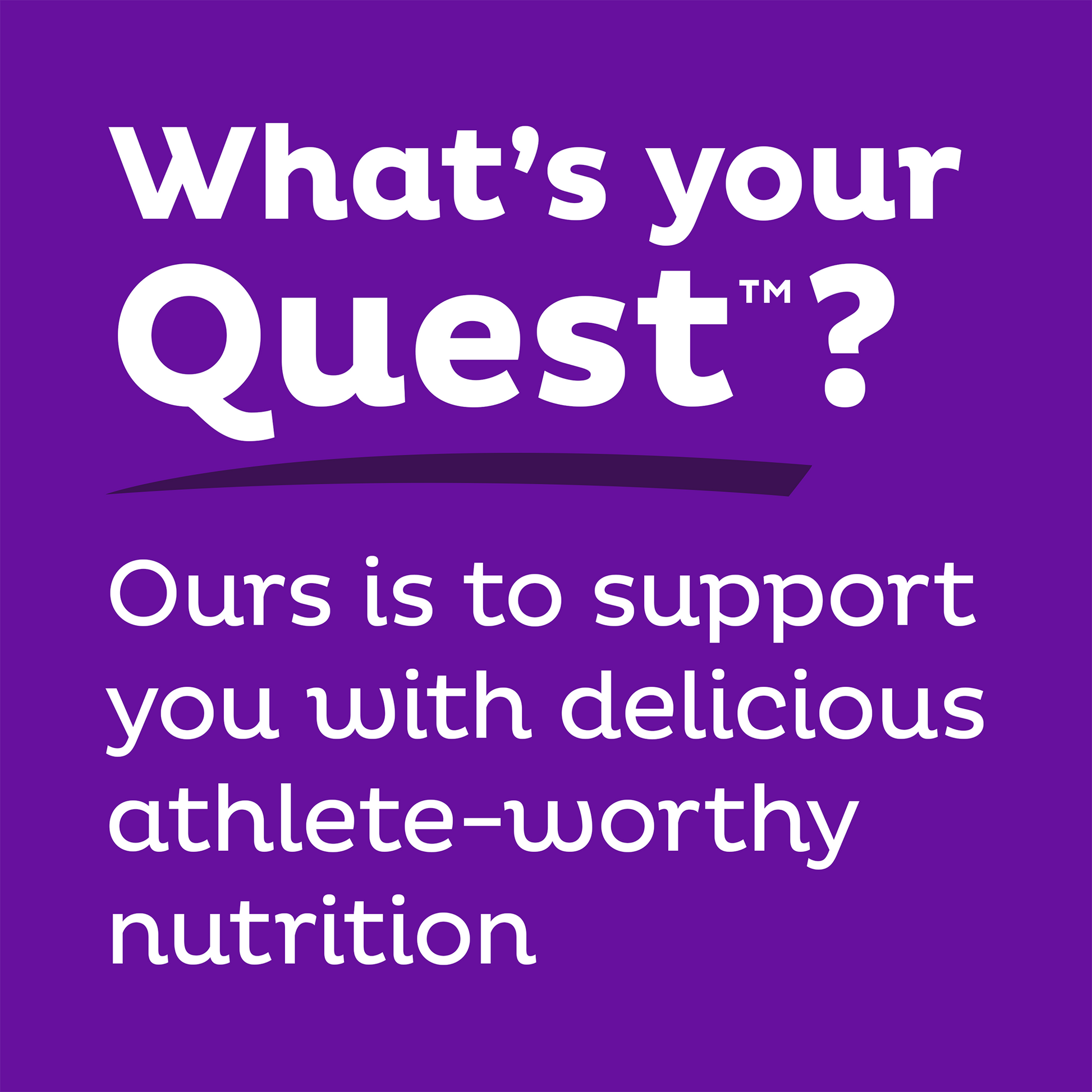 double-chocolate-chunk-protein-bars-h9 qst-000241_double-chocolate-chunk-protein-bars_9.png